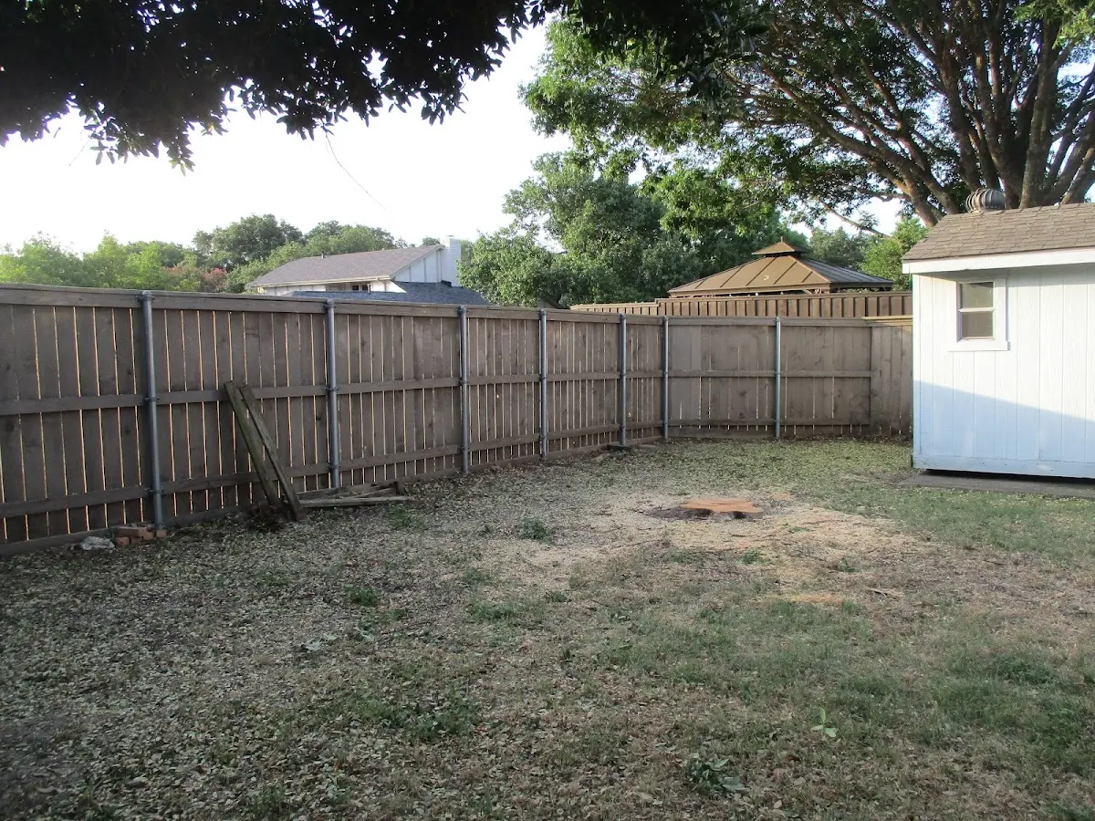 Cleared yard after professional tree removal in Grover